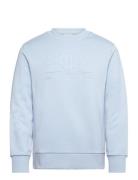 Reg Tonal Shield Cneck Sweat Blue GANT