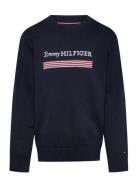 Monotype 1985 Reg Sweater Navy Tommy Hilfiger