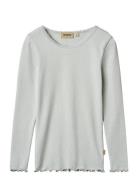 Rib T-Shirt L/S Reese Blue Wheat