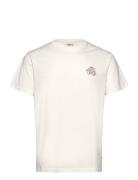 Sdpax Cream Solid