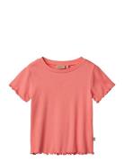 Rib T-Shirt S/S Irene  Wheat