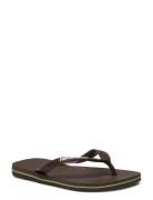 Hav Brazil Logo Blue Havaianas