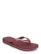 Hav Brazil Logo Burgundy Havaianas
