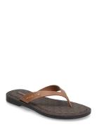 Koko Flip Flop Brown Michael Kors