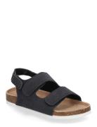 Spectra Jr Navy Exani