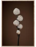 Unfold - Brown Patterned ChiCura