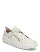 Rejoise Cream Legero