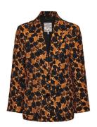 Bia Orange Baum Und Pferdgarten