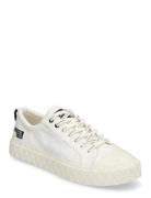 Palla Ace Lo Surplus White Palladium