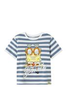 Nkmmansa Spongsb Nreg Ss Top Box Cplg Blue Name It