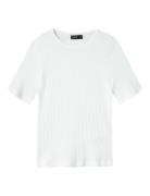 Nlfninusa Ss Short Top White LMTD