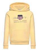 Archive Shield Raglan Hoodie Yellow GANT