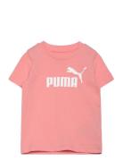 Ess No. 1 Logo Tee Ps  PUMA