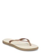 Hav. Slim Point Gold Havaianas