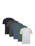 Icon T Shirt 5 Pack Patterned Hollister