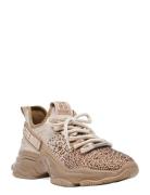 Mistica Sneaker Gold Steve Madden