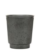 Berica Krus Black House Doctor