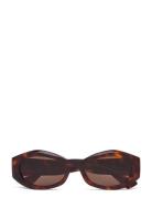 Celeste Brown Corlin Eyewear