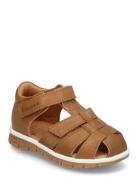 Bisgaard Angus Brown Bisgaard