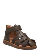 Sandals - Flat - Closed Toe Green ANGULUS