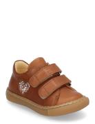 Shoes - Flat - With Velcro Brown ANGULUS