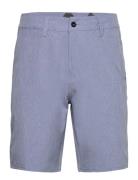 Dunk Tank Blue KAVU