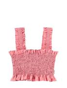 Rolfia Pink Molo