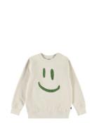Mike Cream Molo