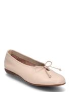 Celestina Beige Wonders
