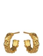 Aio Petite Gold Maanesten