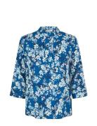 Danittadea Ev Blue Dea Kudibal
