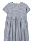 Dioa Blue MarMar Copenhagen