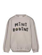 Mini Rodini Cats Sp Sweatshirt Grey Mini Rodini