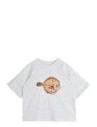 Flundra Sp Ss Tee Grey Mini Rodini