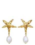 Patti Earrings Gold Maanesten