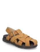 Bisgaard Arda Brown Bisgaard