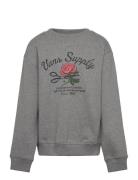 Supply Boutique Crew Grey VANS