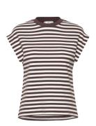 Striped Short-Sleeved T-Shirt Brown Mango