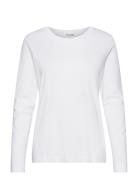 Slfstandard Ls Tee White Selected