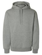Slhreg-Dan Sweat Hood O Grey Selected
