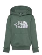 B Drew Peak P/O Hoodie Green The North Face