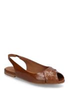 Ballerina Brown Billi Bi