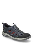 08078-14 Navy Rieker
