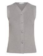 Blodyn. Grey Tiger Of Sweden