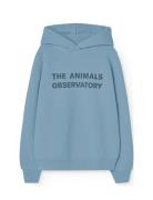 Taurus Kid Hoodie Blue Blue THE ANIMALS OBSERVATORY