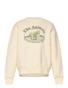 Bear Kid Sweatshirt White Logo Cream THE ANIMALS OBSERVATORY