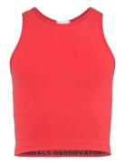 Hyena Kid Tank Top Red Red THE ANIMALS OBSERVATORY