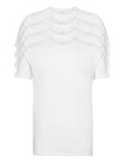 Basic Tee S/S White Lindbergh