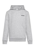 Borg Essential 4 Hoodie Grey Björn Borg