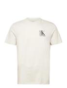 Ss 30S Eu Sp Ck Abstract Graphic Cream Calvin Klein